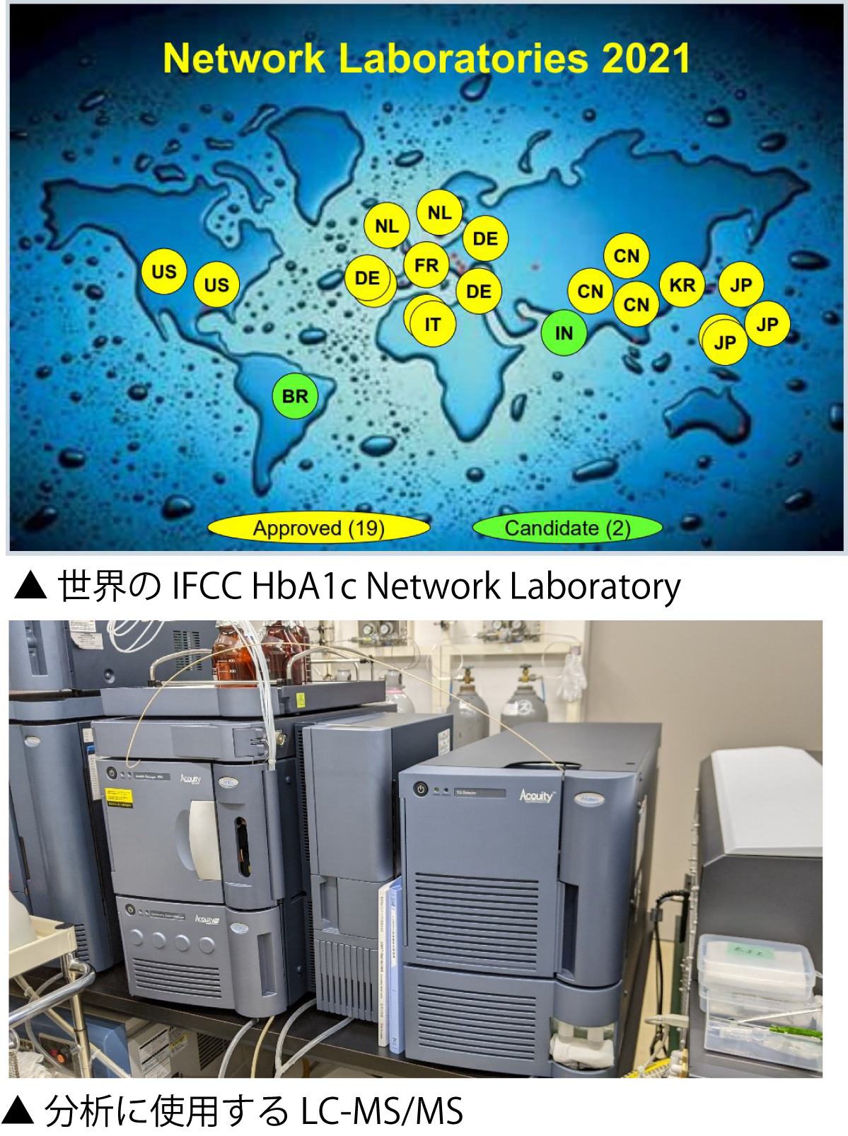 IFCC Network Laboratory