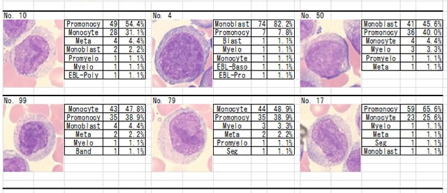 2012 慶應血液検査研究会