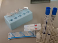 インフルエンザ